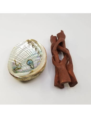 Coquille d'Ormeau avec trépied Cobra en bois,...