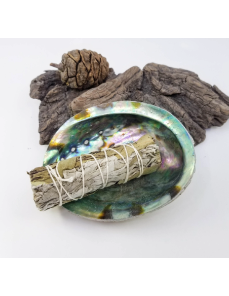 Bâtons Sauge blanche et Eucalyptus pour Purification Fumigation, Rituel, Nettoyage habitat