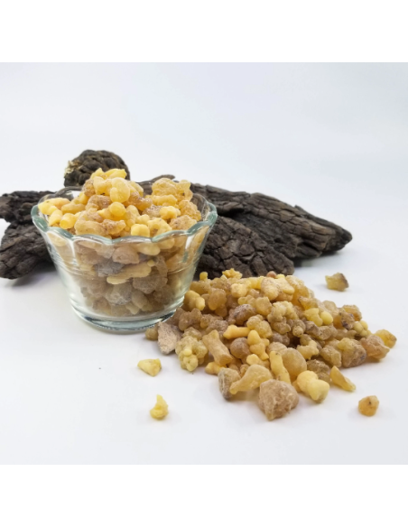 Oliban d’Éthiopie – Encens Naturel | Boswellia papyrifera