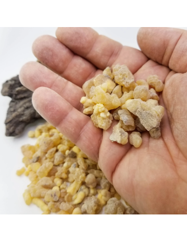 Oliban d’Éthiopie – Encens Naturel | Boswellia...