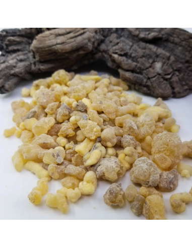 Oliban d’Éthiopie – Encens Naturel | Boswellia...