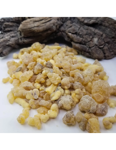 Oliban d’Éthiopie – Encens Naturel | Boswellia papyrifera