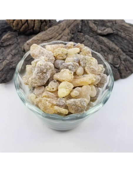 Oliban serrata – Encens naturel d’Inde | Résine pour rituels et fumigations