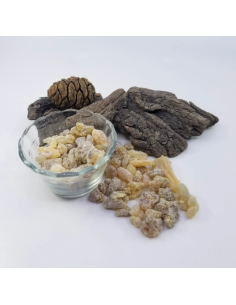 Encens résine naturelle Oliban, Boswellia serrata, pour... 2