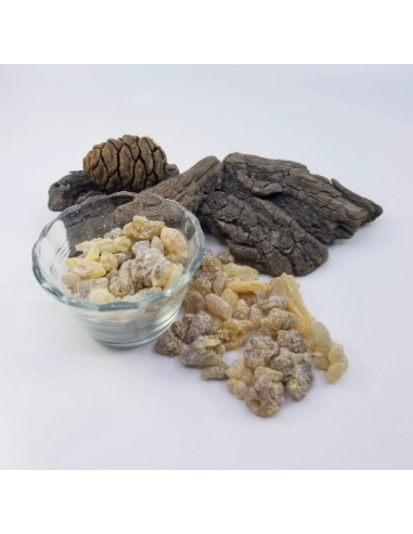 Oliban serrata – Encens naturel d’Inde | Résine...