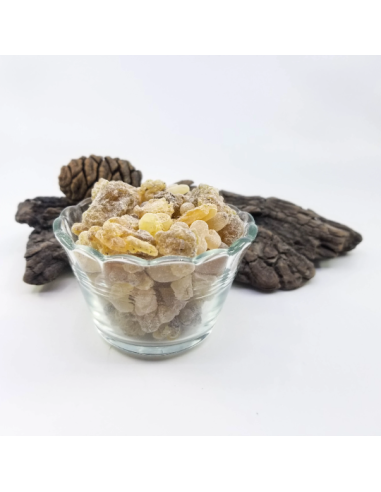 Oliban serrata – Encens naturel d’Inde | Résine...
