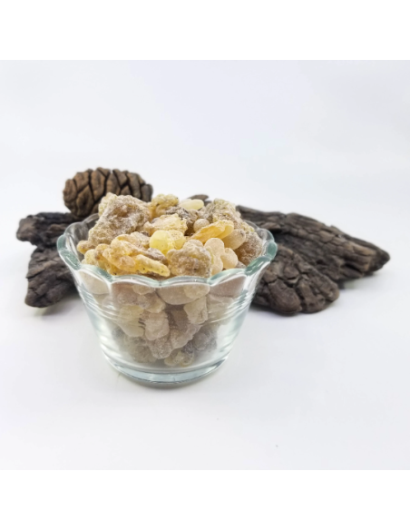 Oliban serrata – Encens naturel d’Inde | Résine pour rituels et fumigations