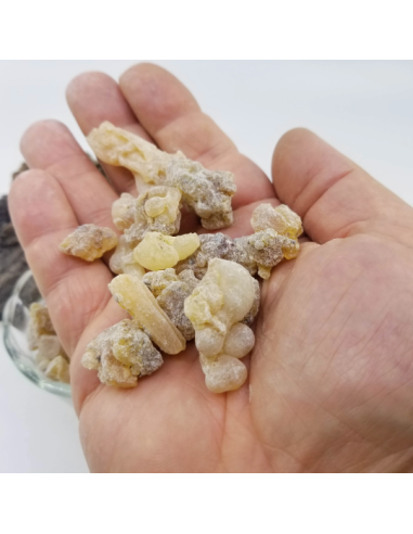 Oliban serrata – Encens naturel d’Inde | Résine...