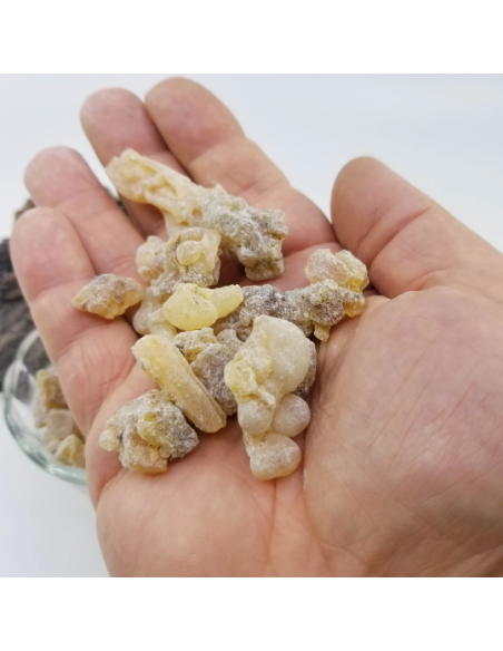 Oliban serrata – Encens naturel d’Inde | Résine pour rituels et fumigations