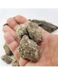 Bonjoin de Sumatra, encens résine Styrax benzoin