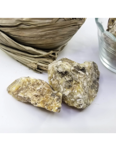 Encens résine Copal Pom, Protium copal 2
