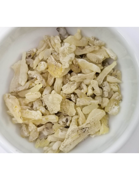 Résine de cade, Juniperus oxycedrus