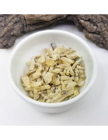 Résine de cade, Juniperus oxycedrus