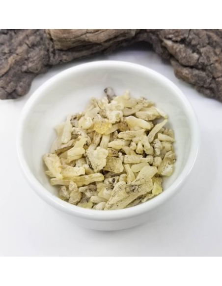 Résine de cade, Juniperus oxycedrus