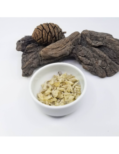 Résine de cade, Juniperus oxycedrus