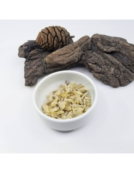 Résine de cade, Juniperus oxycedrus