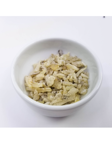 Résine de cade, Juniperus oxycedrus