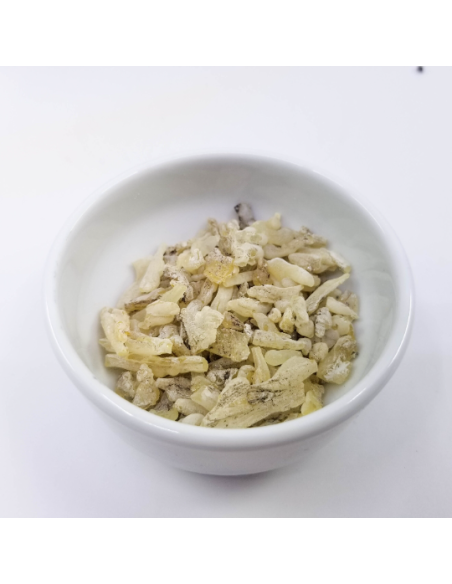 Résine de cade, Juniperus oxycedrus