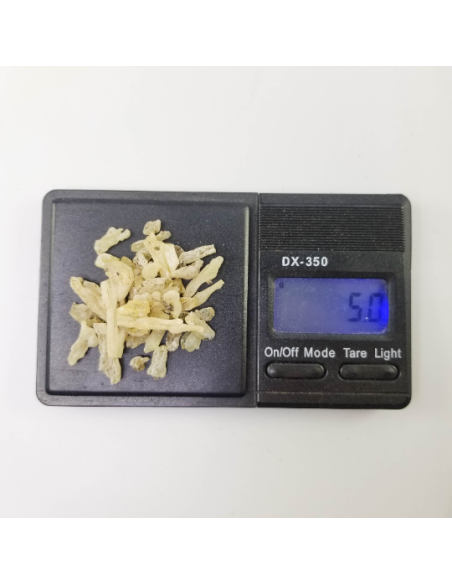 Résine de cade, Juniperus oxycedrus